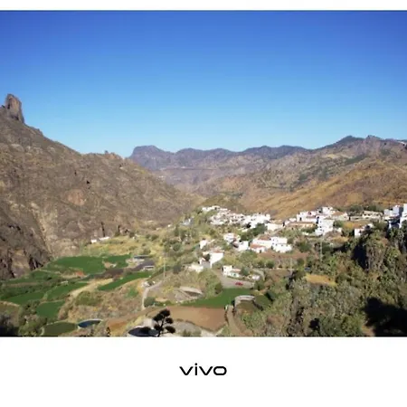 Sol Y Campo Javier *